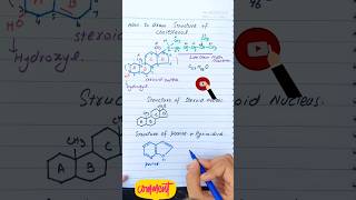 Structure of steroid nucleus purine and pyrimidine [upl. by Ihc]