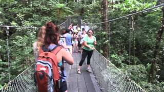 Long Suspension Bridge at Arenal Observatory Lodge [upl. by Euqinommod976]