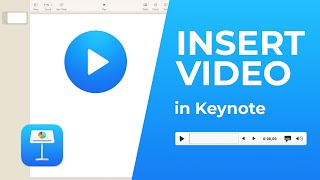 How to Insert Video In Keynote [upl. by Liddle928]