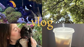 vlog morando sozinha  bichinhos compras e café [upl. by Sharia]