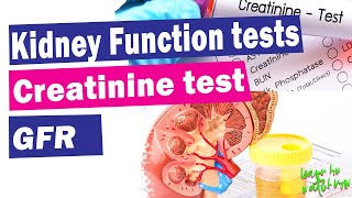 Kidney function tests  Serum creatinine test  GFR  Explained [upl. by Aretina]