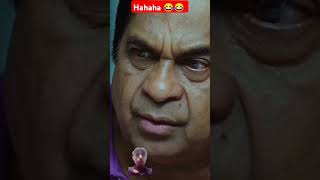 😂😂comedy funny entertainment movie doubleattack brahmanandam marvel respect respectvideo [upl. by Leisam101]