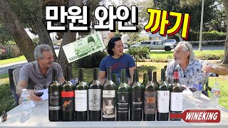 Tasting of easytofind cheap wines [upl. by Dovev]