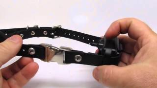 ECollar Technologies Quick Snap Bungee Collar [upl. by Nonez]