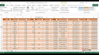 Excel  3 Avancé  Cours Tableau Croisé Dynamique 1 [upl. by Rehc]