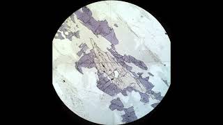 Pleochroism and color tutorial Optical mineralogy [upl. by Xenophon143]