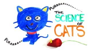 The Science of Cats [upl. by Aihsotal535]