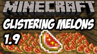 Minecraft 19  Glistering Melons HD [upl. by Yoko]