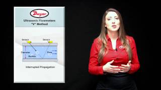 Informational Ultrasonic Flowmeters Video [upl. by Nations753]