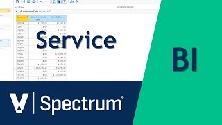 Spectrum BI Service [upl. by Atis]