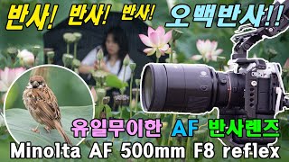 Minolta AF 500mm F8 reflex amp a7r4  laea5 Engsub 반사반사반사 유일무이한 AF 500반사렌즈 [upl. by Ravo]