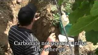 Soil pit workshop Langhorne creek organic Shiraz Plot 2 Pt 2 [upl. by Eladal868]