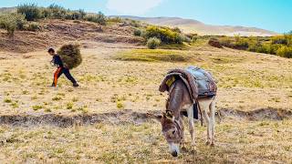 How Forgotten Europeans Survive in Tajikistan Highlands Yagnob People [upl. by Liebowitz]