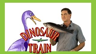 Hesperornis  Dinosaur Train  The Jim Henson Company [upl. by Elliven]