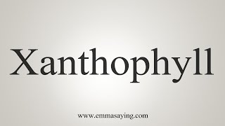 How To Say Xanthophyll [upl. by Ardnazil]