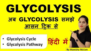 Glycolysis  Glycolysis cycle  Glycolysis pathway  Glycolysis in hindi [upl. by Anselmi]