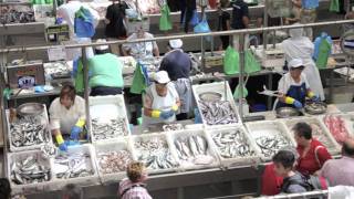 Mercados de abastos tradicionales Galicia y Portugal [upl. by Caines]