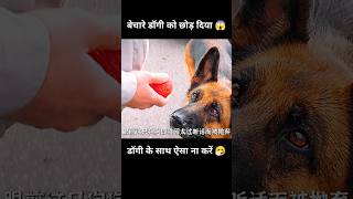 अपने पालतु के साथ कभी ऐसा ना करें 😱  short dog movie part01 [upl. by Einneb980]