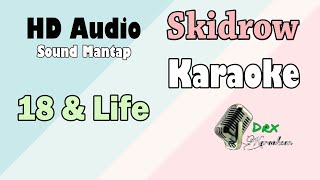 Skidrow  18 amp life karaoke [upl. by Hillier]