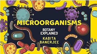 Actinomycetes or Mould Bacteria in Hindi [upl. by Asereht505]