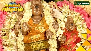 Sattainathar Temple Sirkazhi Nagapattinam  Aalayangal Arputhangal  25012017 [upl. by Dominica]