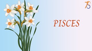 PISCES 💕 Tarot FEBRUARY 20 2024 🧡 Today Card Reading  Daily Prediction  Single  Relationships [upl. by Kciredor952]