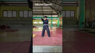 GERAK DASAR PENCAK SILAT [upl. by Anirbed160]