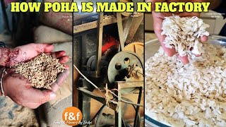 जानिए फैक्ट्री में कैसे बनता है पोहा How poha is made in Factory Flatten Rice Making Process [upl. by Hadley694]