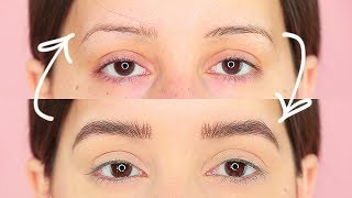 How I Grew Out My Eyebrows  tashaleelyn [upl. by Adekram]