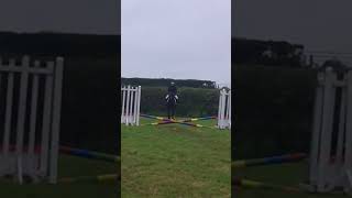 50cm Jumping Combined Training 2nd [upl. by Weinberg585]