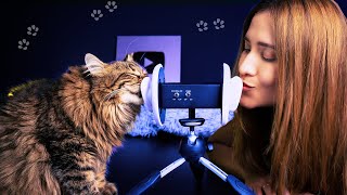 Asmr con mi Gato para DORMIR RONRONEANDO  ASMR Español  Asmr with Sasha [upl. by Harlie]