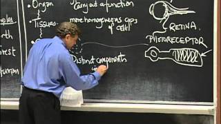 Types of Organisms Cell Composition excerpt 1  MIT 701SC Fundamentals of Biology [upl. by Lyford]