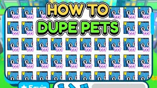 😈TUTORIAL🤑HOW TO DUPE PETS IN Pet Simulator X [upl. by Carlstrom]