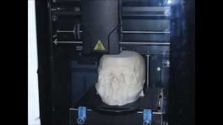 3D printing at Swansea University Skull from a mediaeval archer aboard the warship Mary Rose [upl. by Ahsiekan]