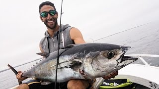 CASTING STICKBAITS FOR BIG LONGTAIL NORTHERN BLUEFIN TUNA  PSFISHTV [upl. by Htessil]