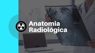 Vídeo Aula 002  Anatomia Radiológica do Tórax Radiologia na Palma da Mão [upl. by Celie]