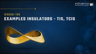 EXAMPLES INSULATORS  TIS TCIS [upl. by Aennyl]