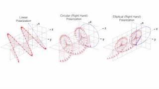 Linear Circular and Elliptical Polarization Animation in a Single Shot [upl. by Laen]