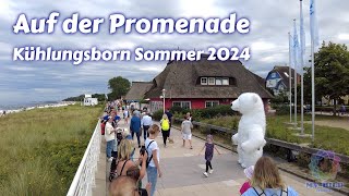 Auf der Promenade  Kühlungsborn Sommer 2024 [upl. by Lynus]