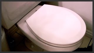 How to replace a toilet seat [upl. by Ja973]