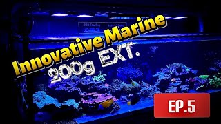 Innovative Marine 200 Gallon EXT Episode 5 July 2024 ​update ​⁠ [upl. by Elatia288]