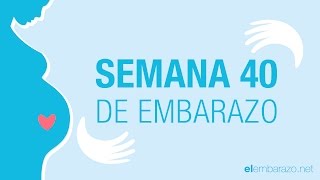 Semana 40 de embarazo  40 semanas de embarazo  El embarazo semana a semana [upl. by Naeroled]