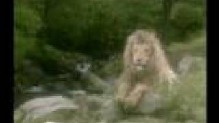 The Chronicles of Narnia  The Lion The Witch and the Wardrobe  Trailer 1 [upl. by Nelak]