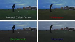 Protanopia vs Deuteranopia vs Tritanopia On St Andrews Golf Links [upl. by Oneil]