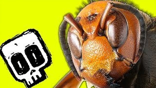 Giant Hornet vs Honey Bees  Deadliest Showdowns  BBC Earth [upl. by Adnuahs590]