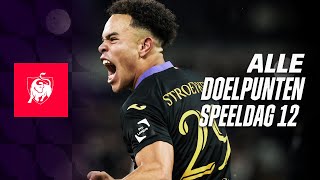 ALLE DOELPUNTEN SPEELDAG 12 👀⚽ Jupiler Pro League hoogtepunten 2324 [upl. by Waverley]