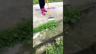 Multifunctional cleaning shovelplants cleaningtips viralvideo youtubeshorts [upl. by Tihw]