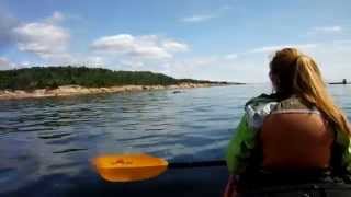 Kayaking with Mink whales in Tadoussac Québec Canada [upl. by Ahsaekal]