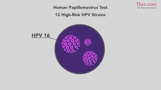 Human Papillomavirus Test – Test amp Technology Hindi [upl. by Naej]