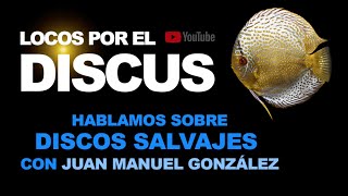 HABLAMOS SOBRE DISCOS SALVAJES CON JUAN MANUEL GONZÁLEZ URUGUAY [upl. by Gnemgnok]